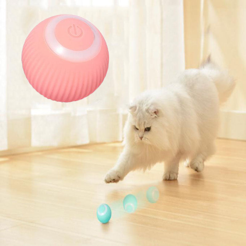 paws and claws Interactive Ball